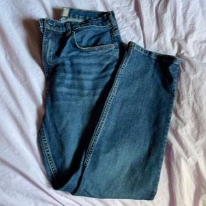Everlane cheeky, size 29